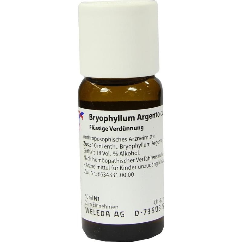 BRYOPHYLLUM ARGENTO cultum D 3 Dilution